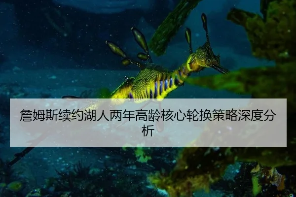 zhan-mu-si-xu-yue-hu-ren-liang-nian-gao-ling-he-xin-lun-huan-ce-lve-shen-du-fen-xi-2-660.jpg
